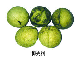 GWB—02椰殼凈水炭